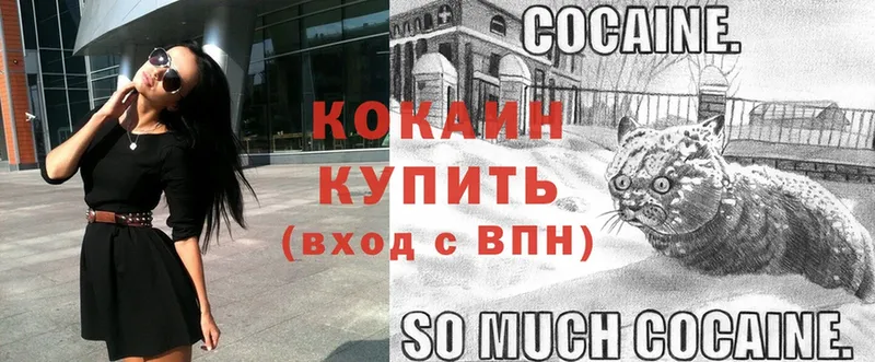 Cocaine Перу  сколько стоит  Ельня 