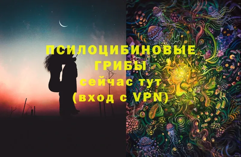 Галлюциногенные грибы Psilocybine cubensis  Ельня 